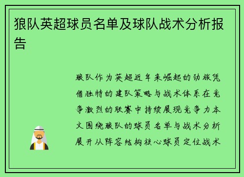 狼队英超球员名单及球队战术分析报告