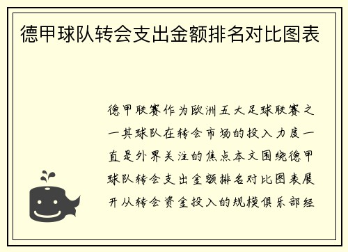 德甲球队转会支出金额排名对比图表